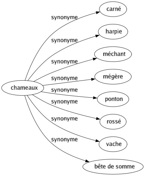 Synonyme de Chameaux : Carné Harpie Méchant Mégère Ponton Rossé Vache Bête de somme 