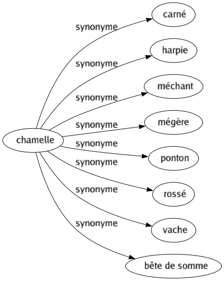 Synonyme de Chamelle : Carné Harpie Méchant Mégère Ponton Rossé Vache Bête de somme 