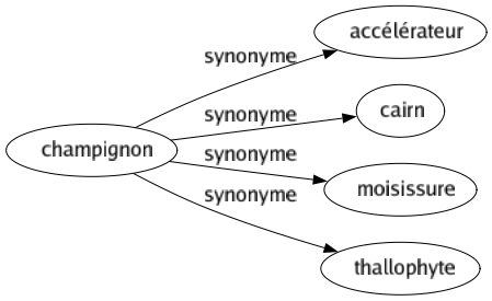 Synonyme de Champignon : Accélérateur Cairn Moisissure Thallophyte 