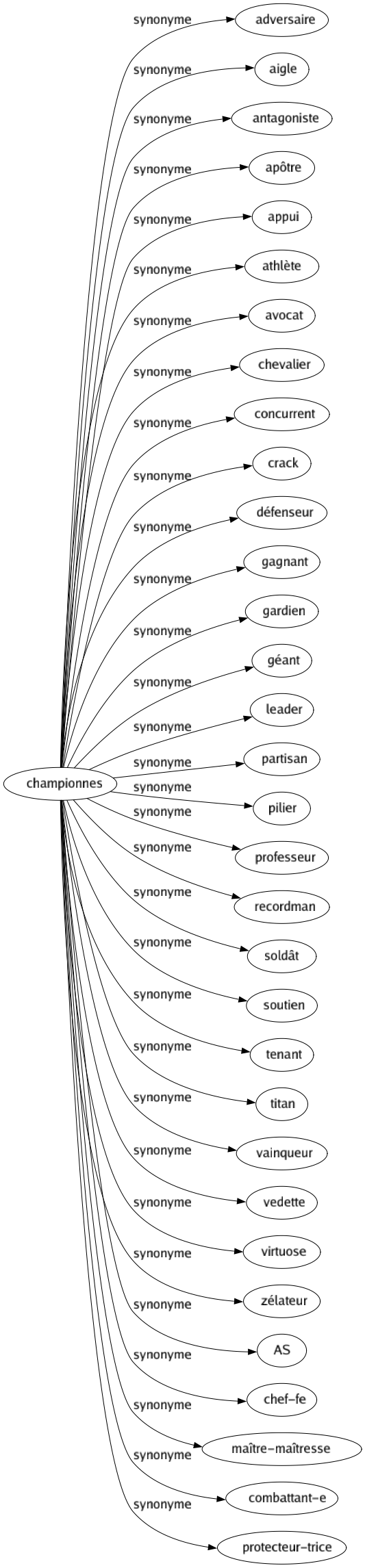 Synonyme de Championnes : Adversaire Aigle Antagoniste Apôtre Appui Athlète Avocat Chevalier Concurrent Crack Défenseur Gagnant Gardien Géant Leader Partisan Pilier Professeur Recordman Soldât Soutien Tenant Titan Vainqueur Vedette Virtuose Zélateur As Chef-fe Maître-maîtresse Combattant-e Protecteur-trice 