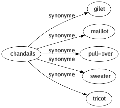 Synonyme de Chandails (5)