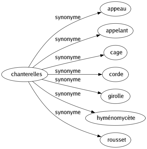 Synonyme de Chanterelles : Appeau Appelant Cage Corde Girolle Hyménomycète Rousset 