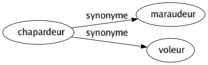 Synonyme de Chapardeur : Maraudeur Voleur 