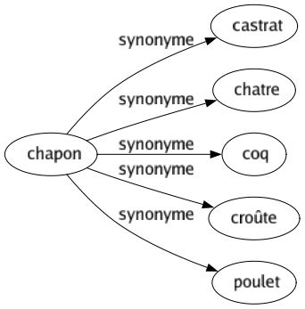 Synonyme de Chapon : Castrat Chatre Coq Croûte Poulet 