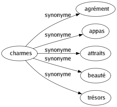 Synonyme de Charmes : Agrément Appas Attraits Beauté Trésors 