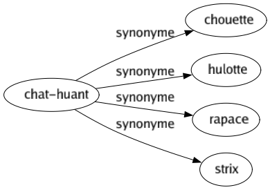 Synonyme de Chat-huant : Chouette Hulotte Rapace Strix 