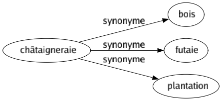 Synonyme de Châtaigneraie : Bois Futaie Plantation 