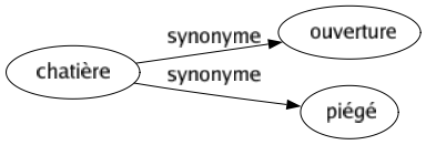 Synonyme de Chatière : Ouverture Piégé 