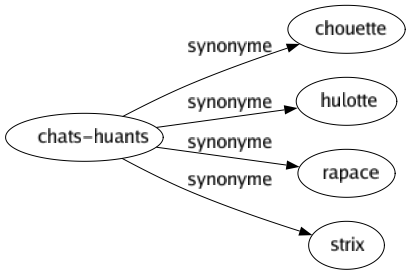 Synonyme de Chats-huants : Chouette Hulotte Rapace Strix 