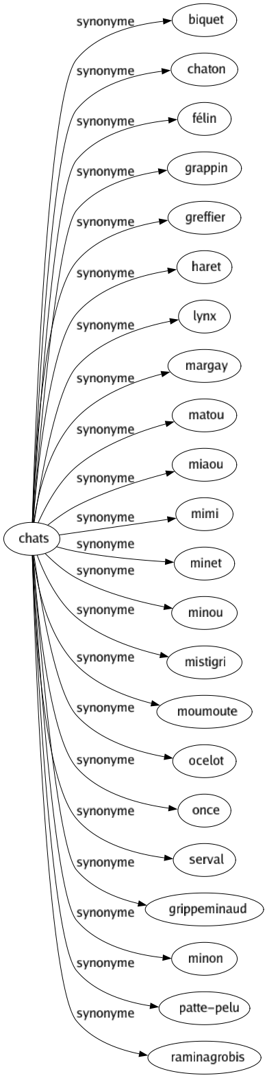 Synonyme de Chats : Biquet Chaton Félin Grappin Greffier Haret Lynx Margay Matou Miaou Mimi Minet Minou Mistigri Moumoute Ocelot Once Serval Grippeminaud Minon Patte-pelu Raminagrobis 