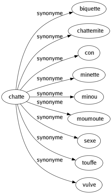 Synonyme de Chatte : Biquette Chattemite Con Minette Minou Moumoute Sexe Touffe Vulve 