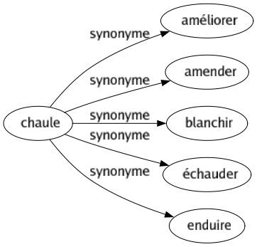 Synonyme de Chaule : Améliorer Amender Blanchir Échauder Enduire 