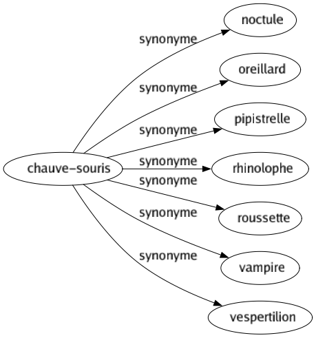 Synonyme de Chauve-souris : Noctule Oreillard Pipistrelle Rhinolophe Roussette Vampire Vespertilion 