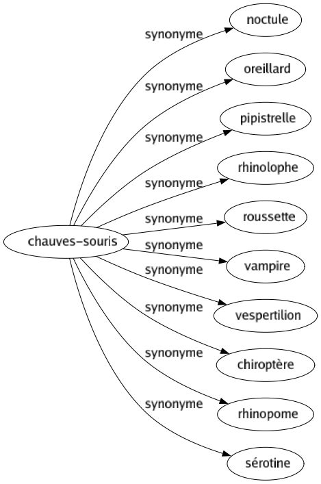 Synonyme de Chauves-souris : Noctule Oreillard Pipistrelle Rhinolophe Roussette Vampire Vespertilion Chiroptère Rhinopome Sérotine 