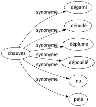 Synonyme de Chauves : Dégarni Dénudé Déplume Dépouillé Nu Pelé 