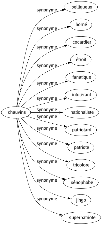 Synonyme de Chauvins : Belliqueux Borné Cocardier Étroit Fanatique Intolérant Nationaliste Patriotard Patriote Tricolore Xénophobe Jingo Superpatriote 