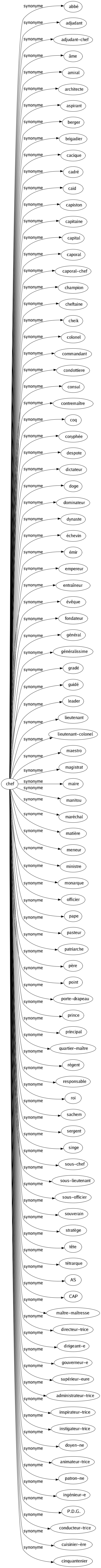 Synonyme de Chef : Abbé Adjudant Adjudant-chef Âme Amiral Architecte Aspirant Berger Brigadier Cacique Cadré Caïd Capiston Capitaine Capital Caporal Caporal-chef Champion Cheftaine Cheik Colonel Commandant Condottiere Consul Contremaître Coq Coryphée Despote Dictateur Doge Dominateur Dynaste Échevin Émir Empereur Entraîneur Évêque Fondateur Général Généralissime Gradé Guidé Leader Lieutenant Lieutenant-colonel Maestro Magistrat Maire Manitou Maréchal Matière Meneur Ministre Monarque Officier Pape Pasteur Patriarche Père Point Porte-drapeau Prince Principal Quartier-maître Régent Responsable Roi Sachem Sergent Singe Sous-chef Sous-lieutenant Sous-officier Souverain Stratège Tête Tétrarque As Cap Maître-maîtresse Directeur-trice Dirigeant-e Gouverneur-e Supérieur-eure Administrateur-trice Inspirateur-trice Instigateur-trice Doyen-ne Animateur-trice Patron-ne Ingénieur-e P.d.g. Conducteur-trice Cuisinier-ère Cinquantenier 