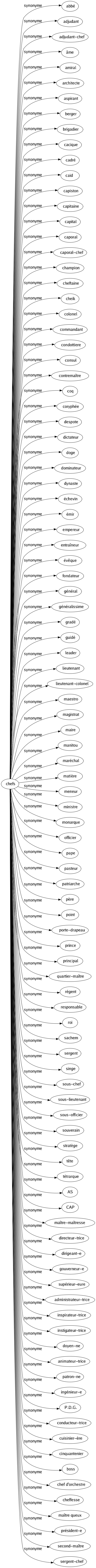 Synonyme de Chefs : Abbé Adjudant Adjudant-chef Âme Amiral Architecte Aspirant Berger Brigadier Cacique Cadré Caïd Capiston Capitaine Capital Caporal Caporal-chef Champion Cheftaine Cheik Colonel Commandant Condottiere Consul Contremaître Coq Coryphée Despote Dictateur Doge Dominateur Dynaste Échevin Émir Empereur Entraîneur Évêque Fondateur Général Généralissime Gradé Guidé Leader Lieutenant Lieutenant-colonel Maestro Magistrat Maire Manitou Maréchal Matière Meneur Ministre Monarque Officier Pape Pasteur Patriarche Père Point Porte-drapeau Prince Principal Quartier-maître Régent Responsable Roi Sachem Sergent Singe Sous-chef Sous-lieutenant Sous-officier Souverain Stratège Tête Tétrarque As Cap Maître-maîtresse Directeur-trice Dirigeant-e Gouverneur-e Supérieur-eure Administrateur-trice Inspirateur-trice Instigateur-trice Doyen-ne Animateur-trice Patron-ne Ingénieur-e P.d.g. Conducteur-trice Cuisinier-ère Cinquantenier Boss Chef d'orchestre Cheffesse Maître queux Président-e Second-maître Sergent-chef 