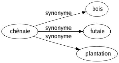 Synonyme de Chênaie : Bois Futaie Plantation 