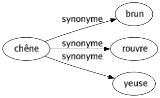 Synonyme de Chêne : Brun Rouvre Yeuse 