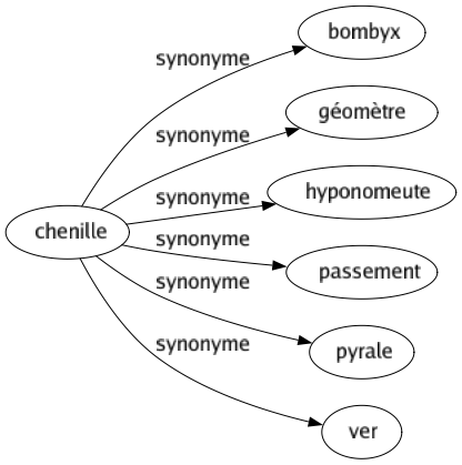 Synonyme de Chenille : Bombyx Géomètre Hyponomeute Passement Pyrale Ver 