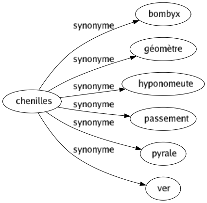 Synonyme de Chenilles : Bombyx Géomètre Hyponomeute Passement Pyrale Ver 