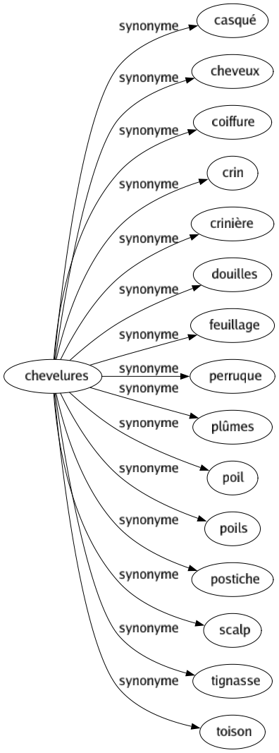 Synonyme de Chevelures : Casqué Cheveux Coiffure Crin Crinière Douilles Feuillage Perruque Plûmes Poil Poils Postiche Scalp Tignasse Toison 