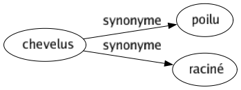 Synonyme de Chevelus : Poilu Raciné 