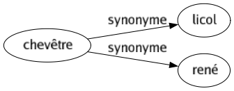 Synonyme de Chevêtre : Licol René 