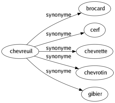 Synonyme de Chevreuil : Brocard Cerf Chevrette Chevrotin Gibier 