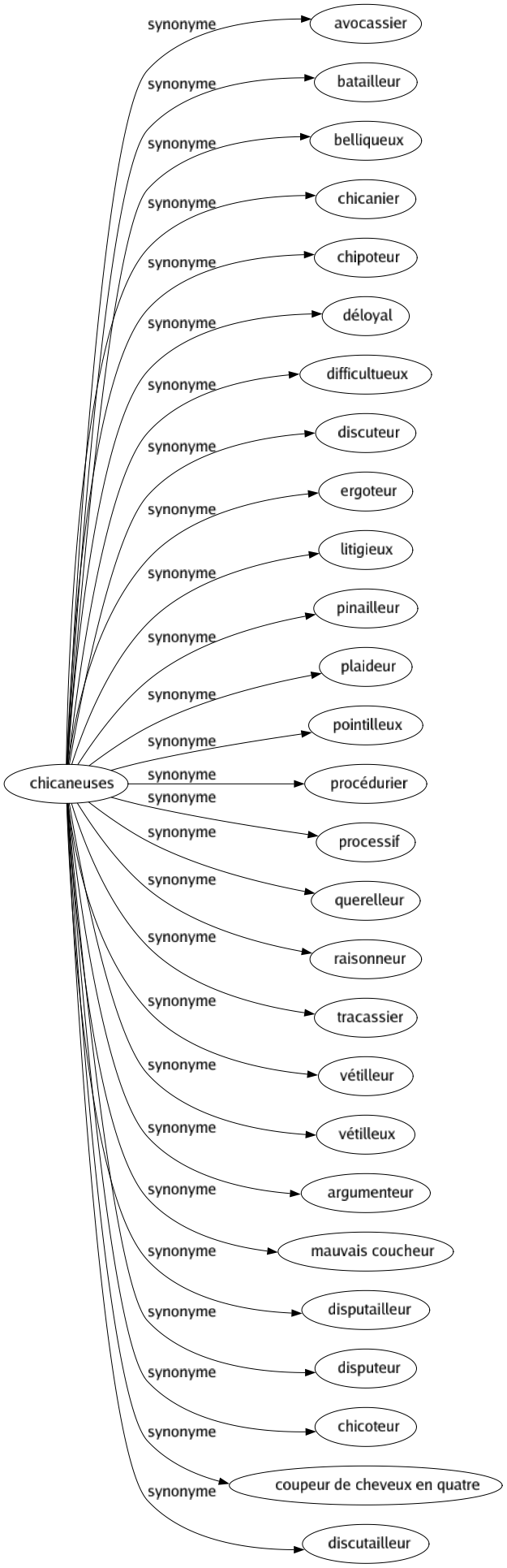 Synonyme de Chicaneuses : Avocassier Batailleur Belliqueux Chicanier Chipoteur Déloyal Difficultueux Discuteur Ergoteur Litigieux Pinailleur Plaideur Pointilleux Procédurier Processif Querelleur Raisonneur Tracassier Vétilleur Vétilleux Argumenteur Mauvais coucheur Disputailleur Disputeur Chicoteur Coupeur de cheveux en quatre Discutailleur 