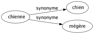 Synonyme de Chienne : Chien Mégère 