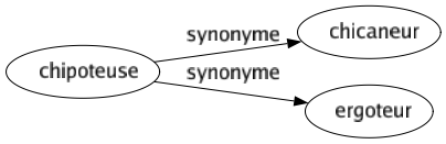 Synonyme de Chipoteuse : Chicaneur Ergoteur 