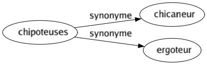 Synonyme de Chipoteuses : Chicaneur Ergoteur 