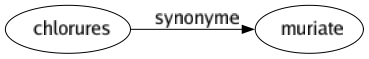 Synonyme de Chlorures : Muriate 