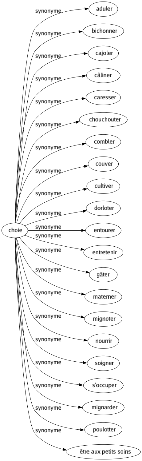 Synonyme de Choie : Aduler Bichonner Cajoler Câliner Caresser Chouchouter Combler Couver Cultiver Dorloter Entourer Entretenir Gâter Materner Mignoter Nourrir Soigner S'occuper Mignarder Poulotter Être aux petits soins 