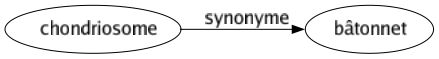 Synonyme de Chondriosome : Bâtonnet 