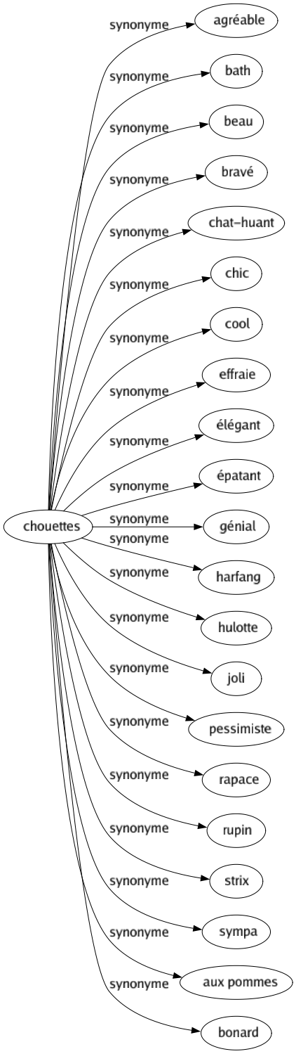 Synonyme de Chouettes : Agréable Bath Beau Bravé Chat-huant Chic Cool Effraie Élégant Épatant Génial Harfang Hulotte Joli Pessimiste Rapace Rupin Strix Sympa Aux pommes Bonard 