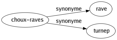 Synonyme de Choux-raves : Rave Turnep 