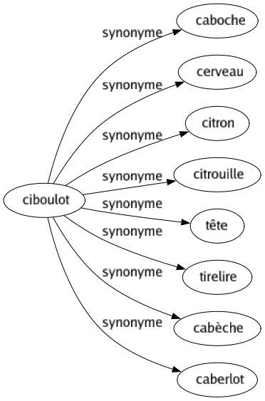 Synonyme de Ciboulot : Caboche Cerveau Citron Citrouille Tête Tirelire Cabèche Caberlot 