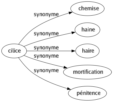 Synonyme de Cilice : Chemise Haine Haire Mortification Pénitence 