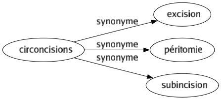 Synonyme de Circoncisions : Excision Péritomie Subincision 