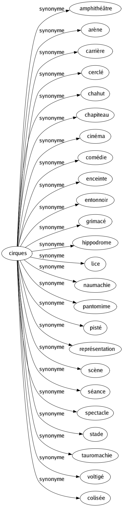 Synonyme de Cirques : Amphithéâtre Arène Carrière Cerclé Chahut Chapiteau Cinéma Comédie Enceinte Entonnoir Grimacé Hippodrome Lice Naumachie Pantomime Pisté Représentation Scène Séance Spectacle Stade Tauromachie Voltigé Colisée 