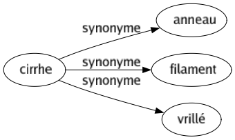 Synonyme de Cirrhe : Anneau Filament Vrillé 