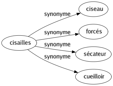 Synonyme de Cisailles : Ciseau Forcés Sécateur Cueilloir 