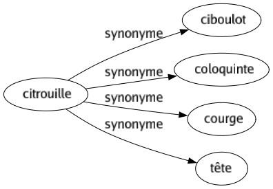 Synonyme de Citrouille : Ciboulot Coloquinte Courge Tête 