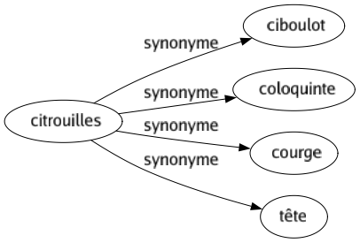 Synonyme de Citrouilles : Ciboulot Coloquinte Courge Tête 