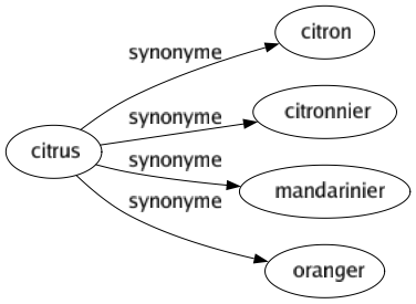 Synonyme de Citrus : Citron Citronnier Mandarinier Oranger 