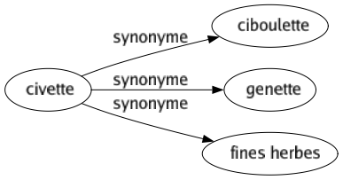 Synonyme de Civette : Ciboulette Genette Fines herbes 