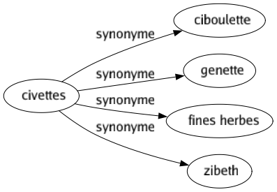 Synonyme de Civettes : Ciboulette Genette Fines herbes Zibeth 